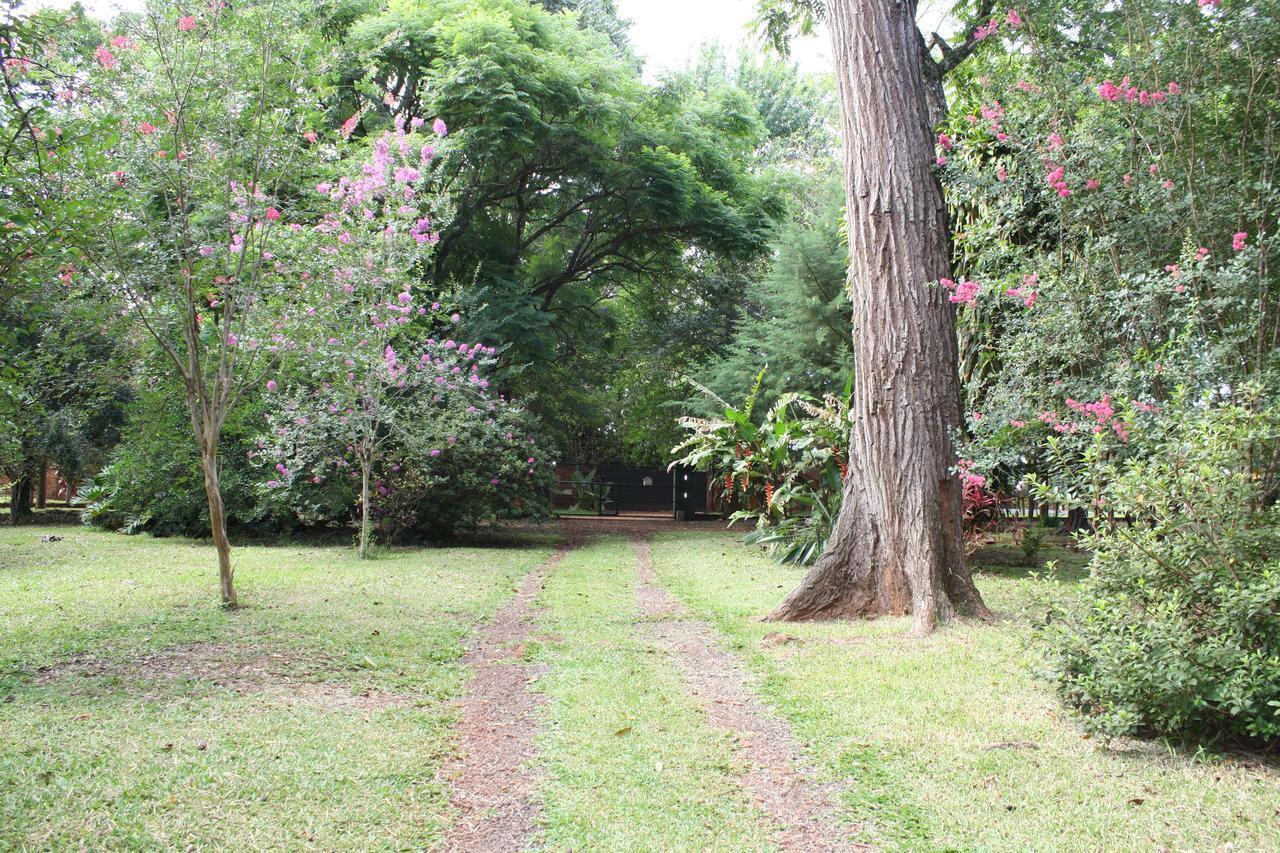 Oasis Bed And Breakfast Puerto Iguazú Esterno foto